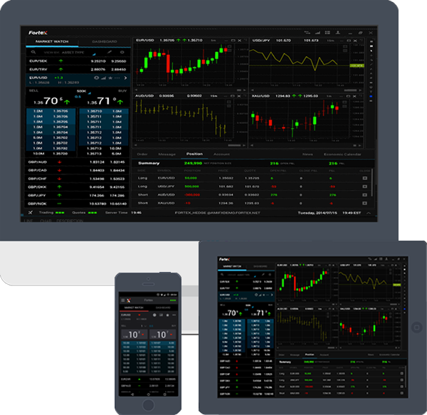 MT4/5 WebTrader
